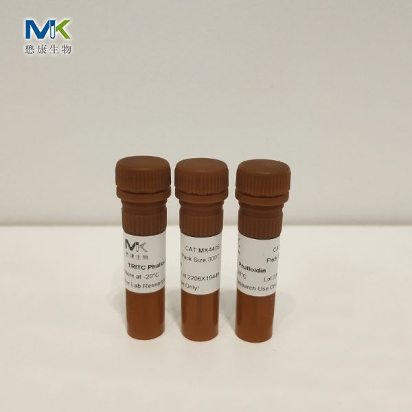 TRITC Phalloidin TRITC标记鬼笔环肽4405产品图